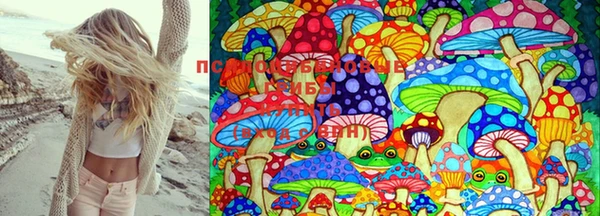 прущие грибы Белоозёрский