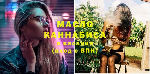 индика Беломорск