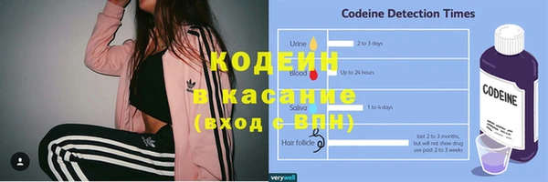 индика Беломорск