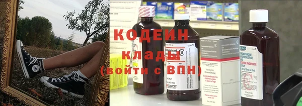 индика Беломорск