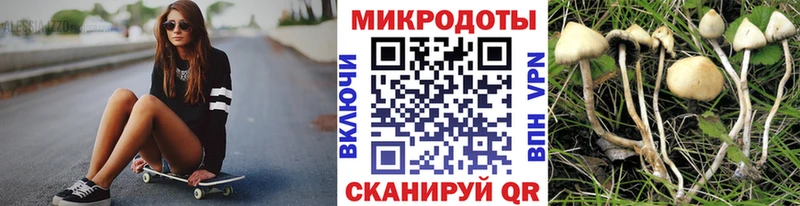 наркотики  Корсаков  mega сайт  Псилоцибиновые грибы Magic Shrooms 